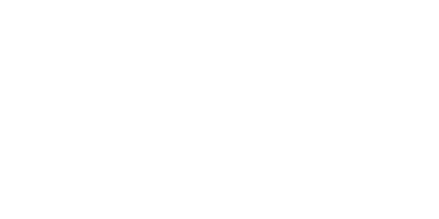 WhistlerStays Logo