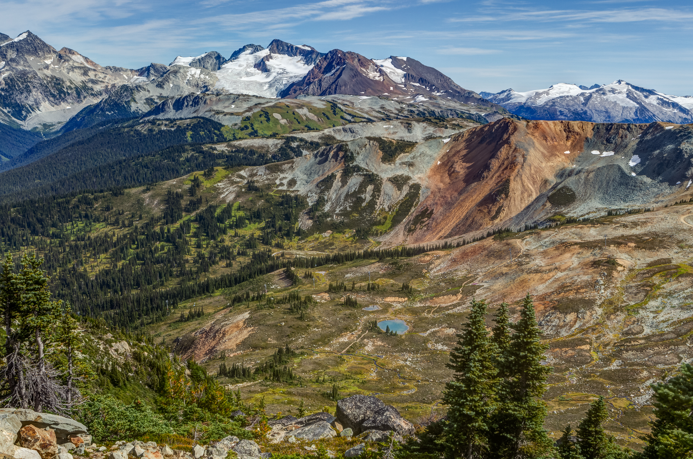 Summer hiking scenery in Whistler